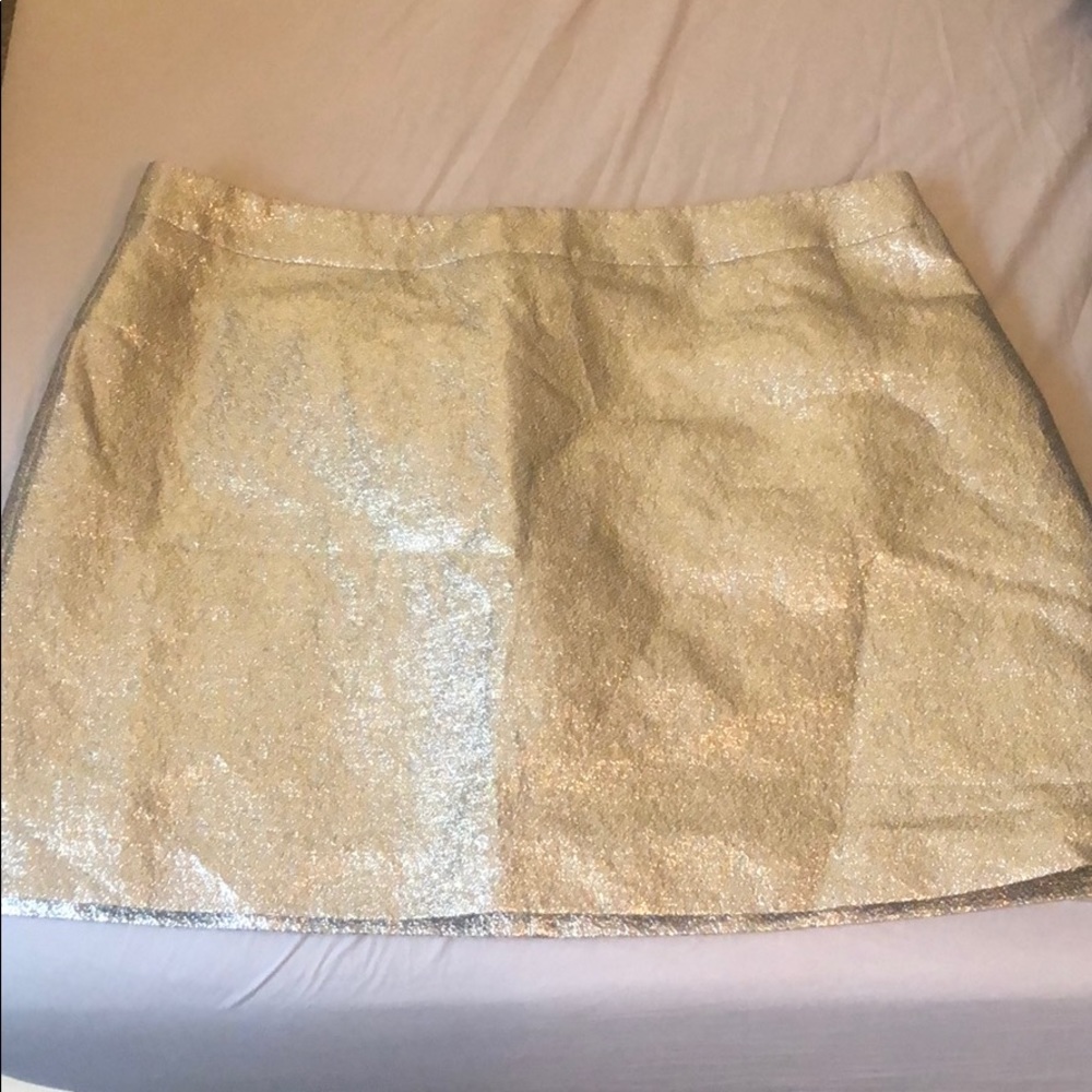 Forever 21 Plus Glitter Skirt